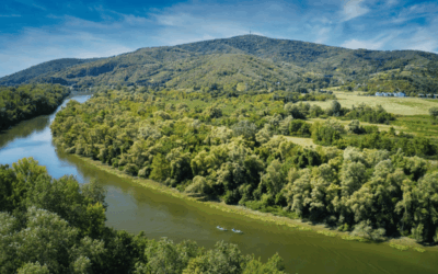 Tokaj és Tarcal – 50 km-es egynapos kirándulás Nyíregyházáról a borvidékre